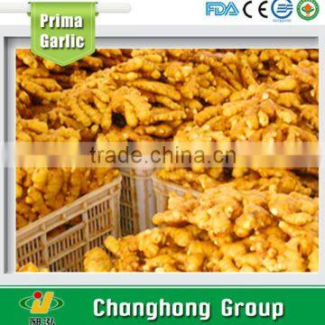 2016 hot sale the lowest price ginger