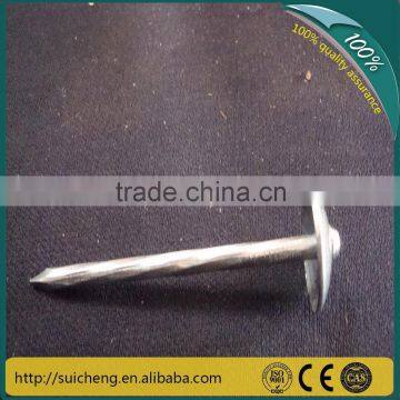 Guangzhou Umbrella Roofing Nails/ Galvanized Twisted Shank Roofing Nails/ Concrete Nails