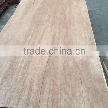 Gurjan Face Veneer/Keruing Face Veneer for Plywood photo-5