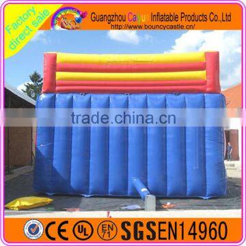 Factory Direct Inflatable Slide ,giant Inflatable Dry Slide for Kids and Adults photo-5