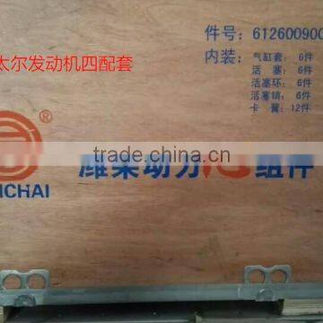 6126009000 Weichai Engine Parts WD618 engine