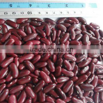 DARK RED KIDNEY BEANS