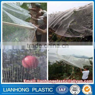 agricultural insect net/anti hail net mesh