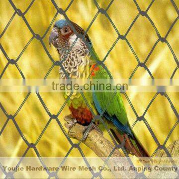 chain link wire mesh fence (20 years manufacturer)