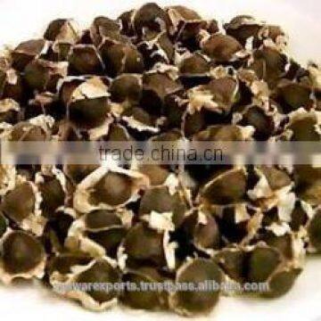 Moringa/ Drumstick Seed