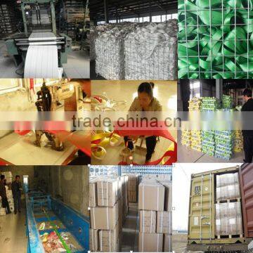 10t Polyester Lifting Web Belt Slings photo-6