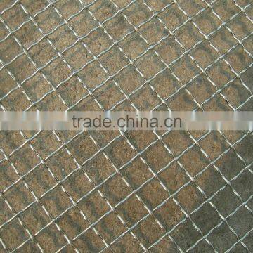 hot sale High Quality Crimped Mesh