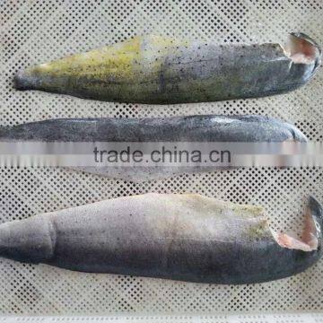 2016 high quality frozen mahi mahi fillet