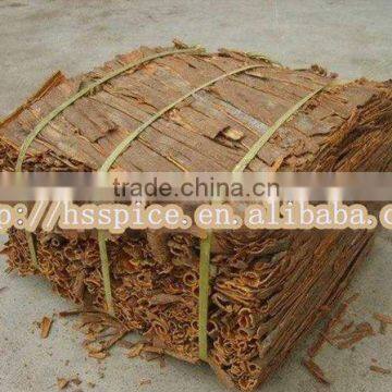 cassia whole