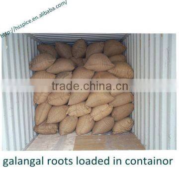Dried Galangal Roots