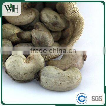 AFI Grade Cambodia Raw Cashew Nuts With Shells photo-5