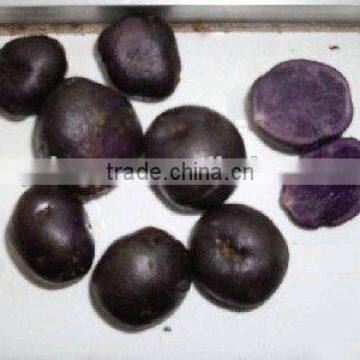 fresh cheap potatoes factory yellow and cheap potato