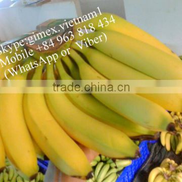 Best Quality Green Cavendish Banana