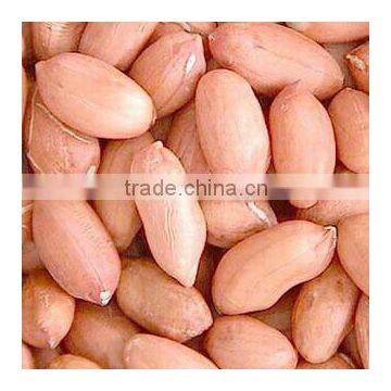 crop new peanut kernel natural type top sale