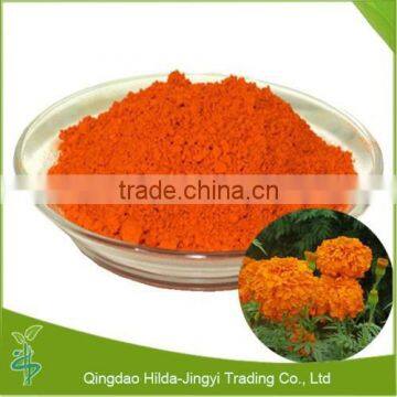 Marigold Powder Extract, Marigold Powder, Marigold P.E.