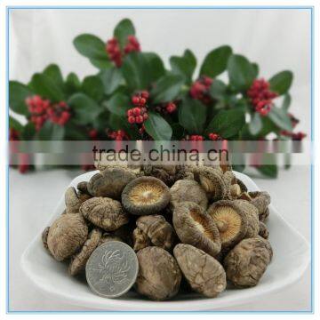 Dried Mini Smooth Shiitake Mushroom