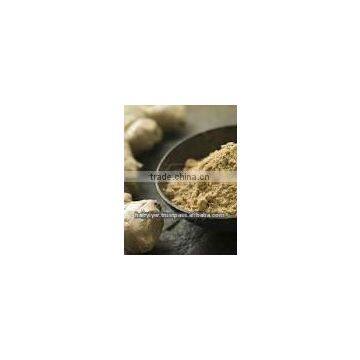 Ginger Powder steam sterilized