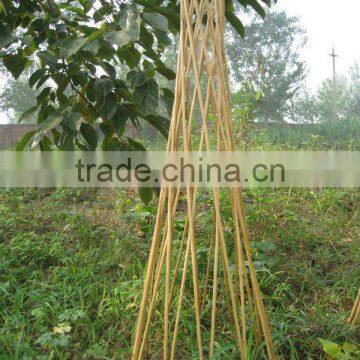 Garden Willow Trellis Obelisk Climber