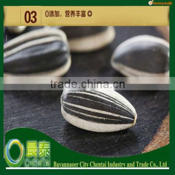 Round Black Sunflower Seeds 6009 With Good Quality Reasonable Price