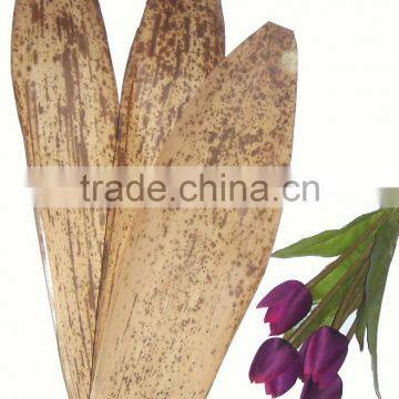 bamboo sheath