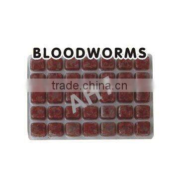 frozen bloodworm