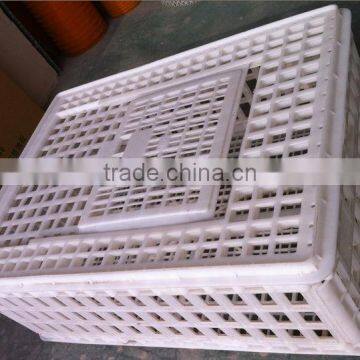 plastic poultry transport cage for sale