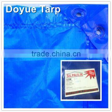 Blue Silpaulin China Tarps photo-2
