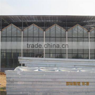 Sawtooth Type Commercial Greenhouse Industrial Greenhouse for Sale photo-3