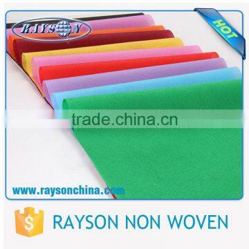Spunbond SS Polypropylene Non Woven Spunbonded Fabrics photo-2