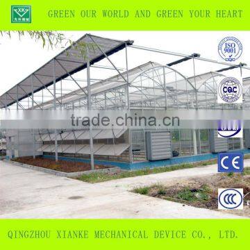 High Quality Long Lifetime Steel OEM Agricultural Greenhouse photo-5