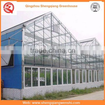 China supplier multi-span glass 6.4m agriculture galvanized steel frame greenhouses for hot sale