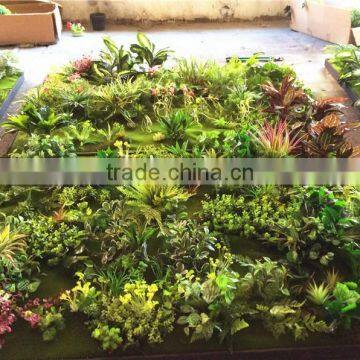 Home Garden Wedding Decoration 200cm*100cm Green Original Succulent With Moss Carpet Grass Wall E03 0501 photo-3