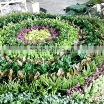 Fake Green Plant Wall Manufacture Decoration Indoor Fake Flower Plant Wall photo-3