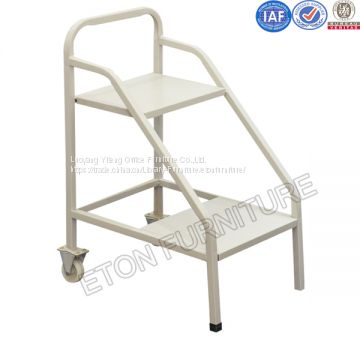 2 Step Book Ladder in Library