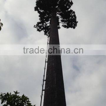 Guangzhou Artificial Communication Tower Tree Ornamental Plastic Palm Tree photo-2