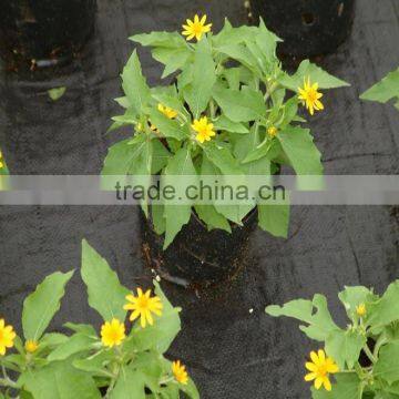 Plastic Ground Cover for Controlling Weed photo-6