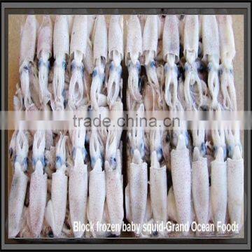 Hot Sale Whole Round Frozen Baby Squid photo-5