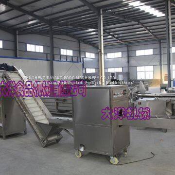 Crispy Onion Production Line photo-3