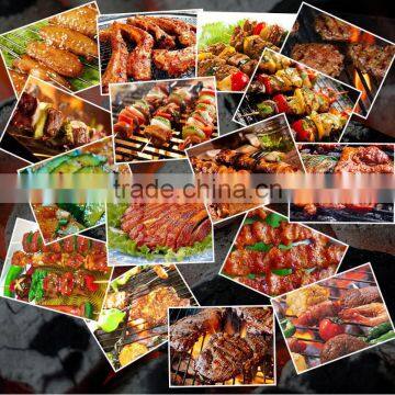 Food Grade BBQ Steak Skewer/stick/pick/bbq Rotating Needle