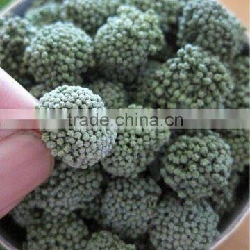 Top Quality Organic Panax Notoginseng Root/Powder photo-4