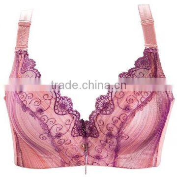 2015 New Arrival Hot Selling Nylon & Spandex Push-up Bra photo-5