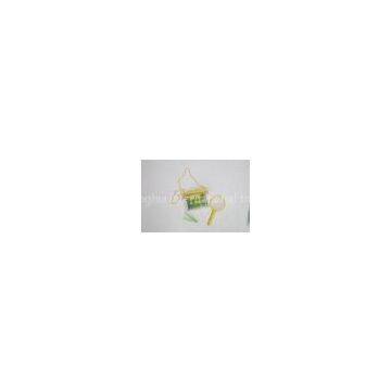 Studying Bugs Magnifying Bug Discovery Kits With Net , Tweezers