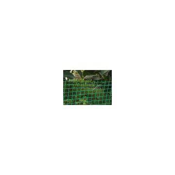 plastic garden fencing net&mesh  garden fence(factory directly)