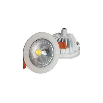 10W IP65 COB Downlight