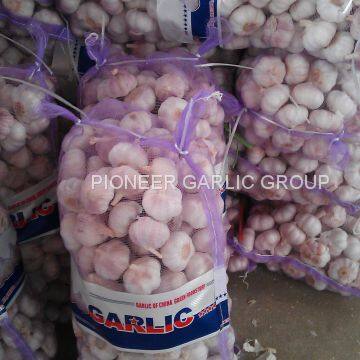 New Crop Fresh Chinese Normal White Garlic (5.0cm, 5.5cm, 6.0cm)