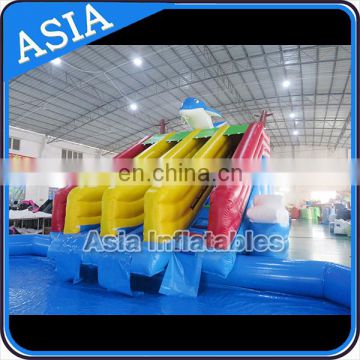 2017 Great Enjoy Colorful Design Giant and Dolphin Inflatable Water Park with Swiming slides for Sale