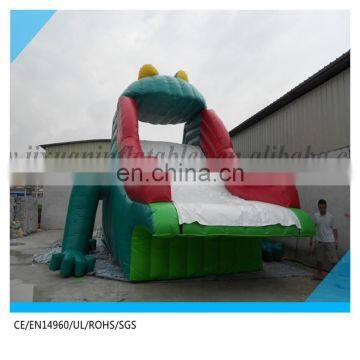 Inflatable Water Slide Pool Above Ground Pool Water Slide photo-2