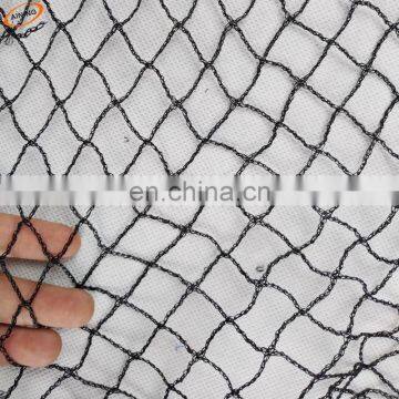 Bird Net / Anti Bird Netting/bird nets for catching birds