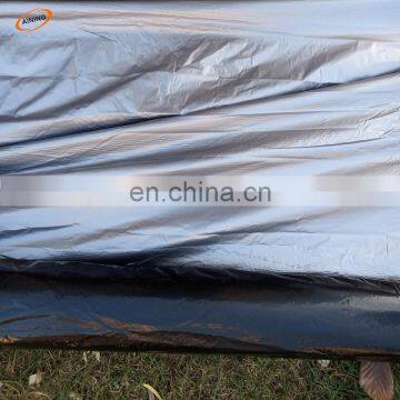 Free Sample Custom Perforated Mulching for Strawberry Planting Agriculture Black Biodegradable Plastic Mulch Film Punch Hole