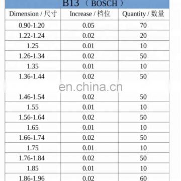 common rail adjusting shim B13 and Air gap adjusting shim B13 and Common rail injector repair gasket B13